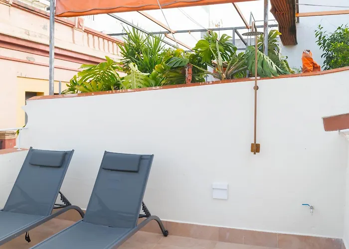 New And Design - Shared Rooftop Solarium - Alameda