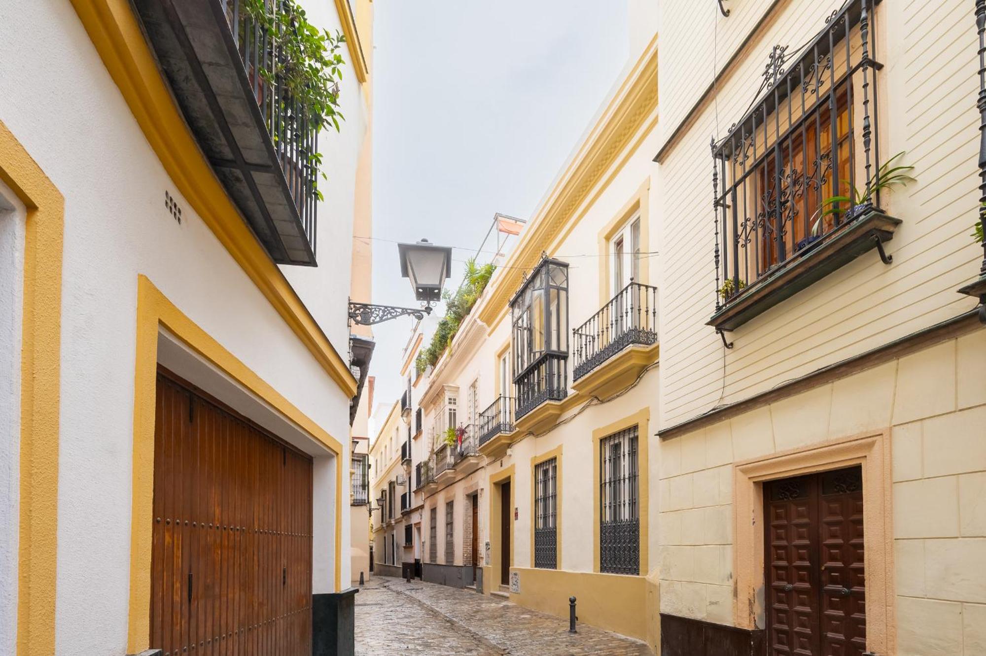 New And Design - Shared Rooftop Solarium - Alameda Seville