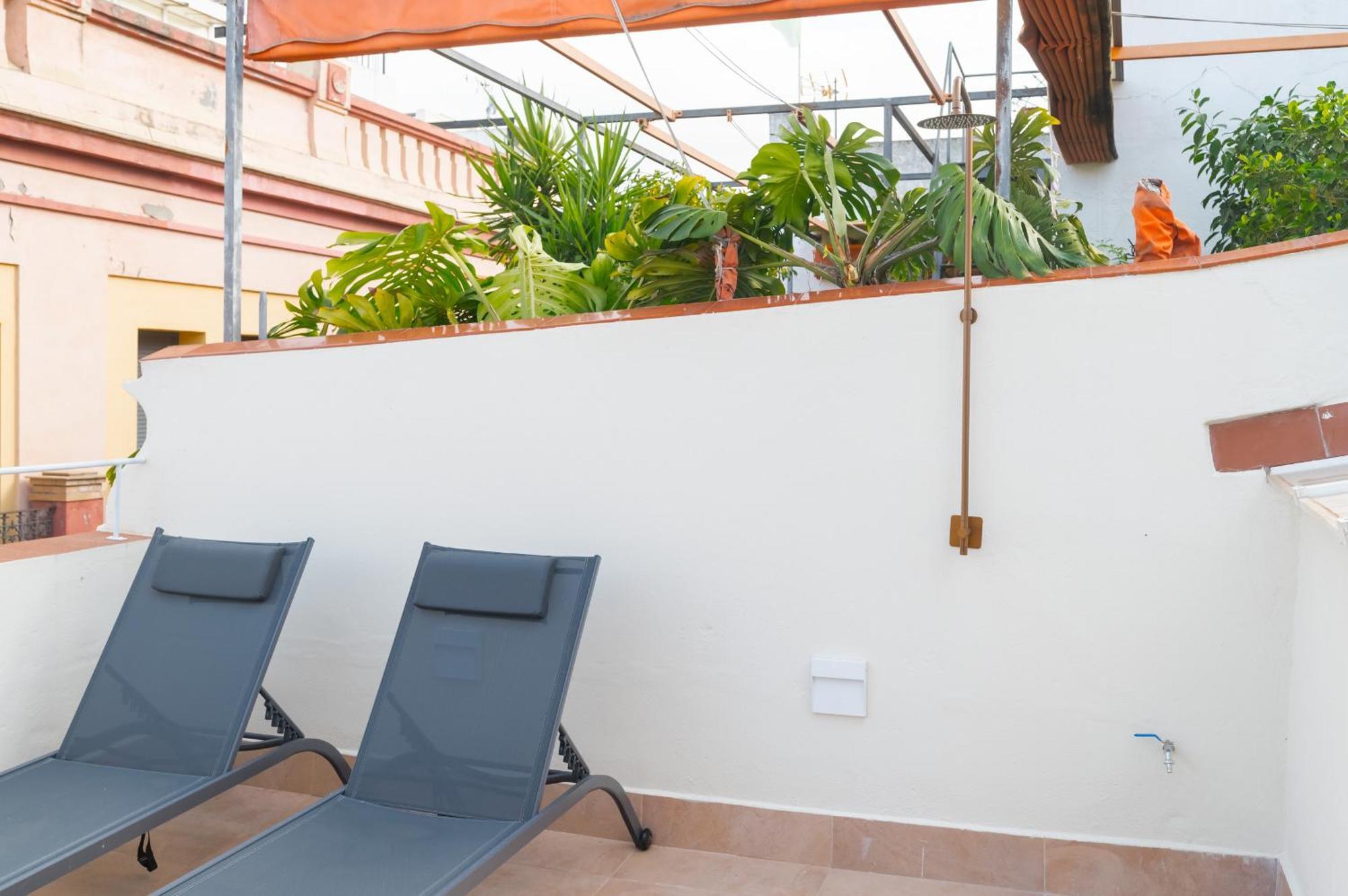 New And Design - Shared Rooftop Solarium - Alameda Sevilla